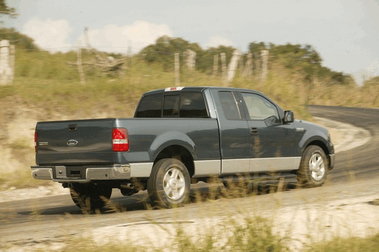 2004 Ford F-150 485370